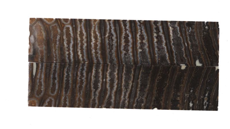Manche de molaire de mammouth stabilisée MARRON